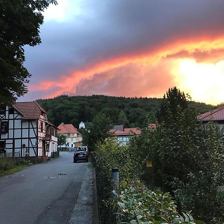 Ferienwohnung-Willgeroth Ilsenburg Dış mekan fotoğraf