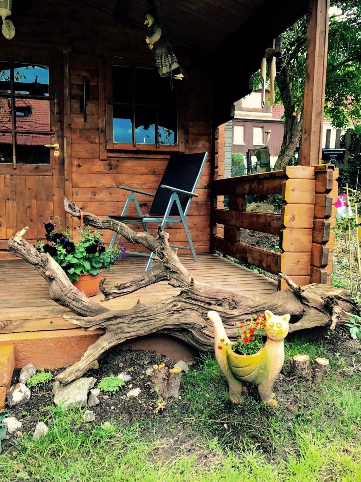 Ferienwohnung-Willgeroth Ilsenburg Dış mekan fotoğraf