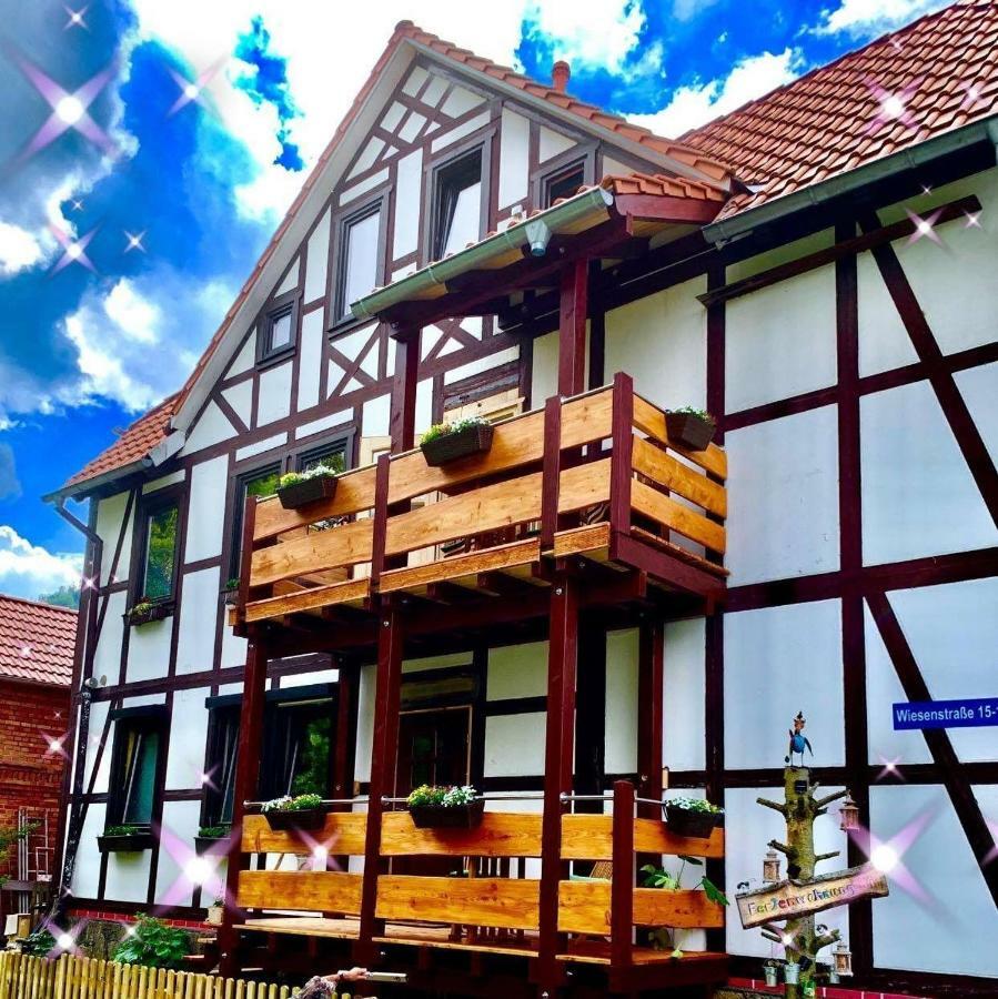Ferienwohnung-Willgeroth Ilsenburg Dış mekan fotoğraf